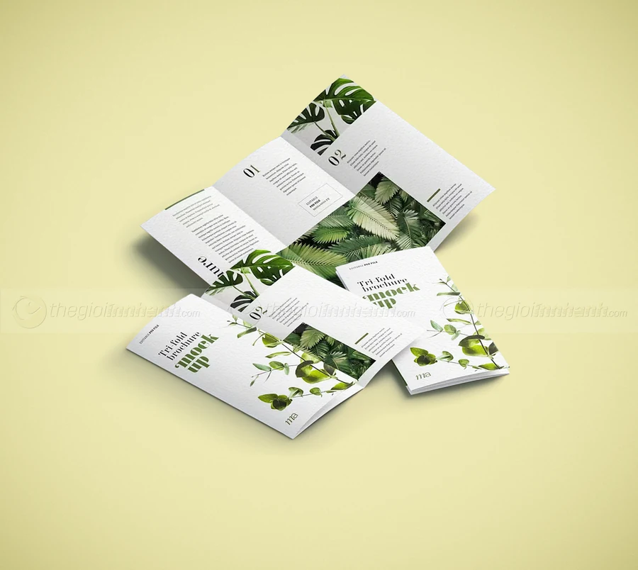 Brochure
