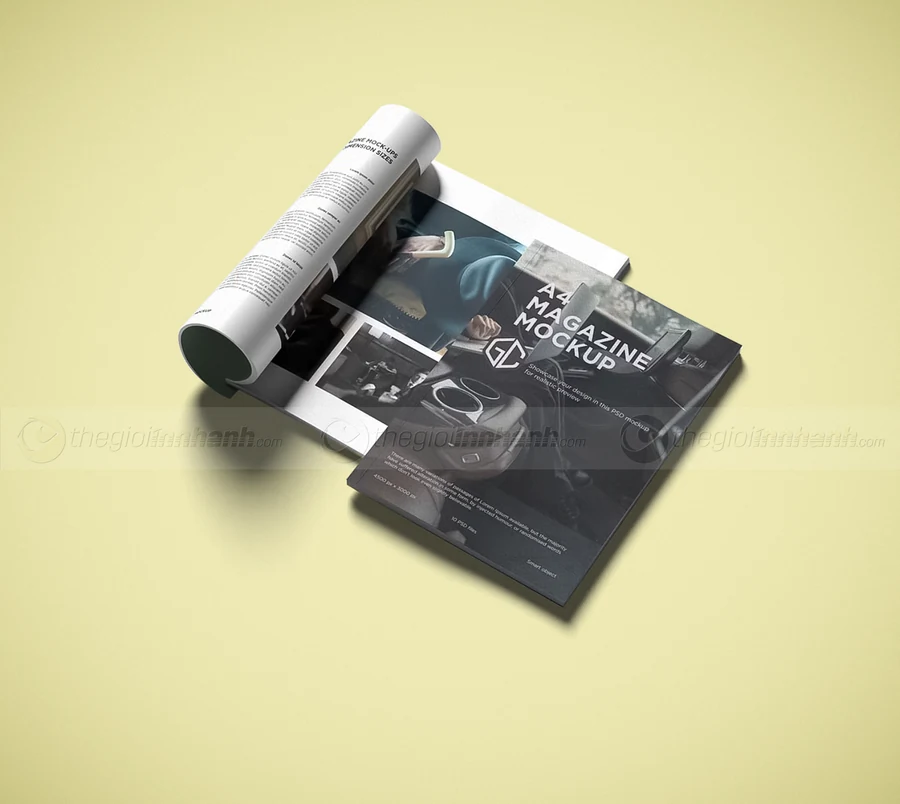 Catalogue